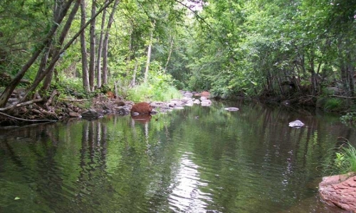 Wet Beaver Wilderness Beaver Creek