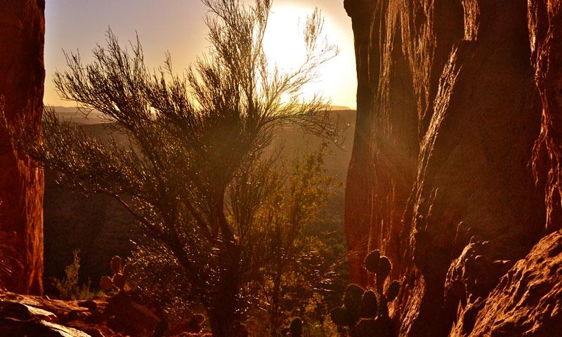 Cathedral Rock in Sedona