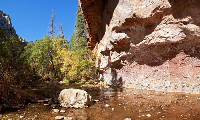 West Fork of Oak Creek in Sedona Arizona