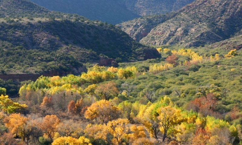 Verde River and Sycamore Canyon in Sedona