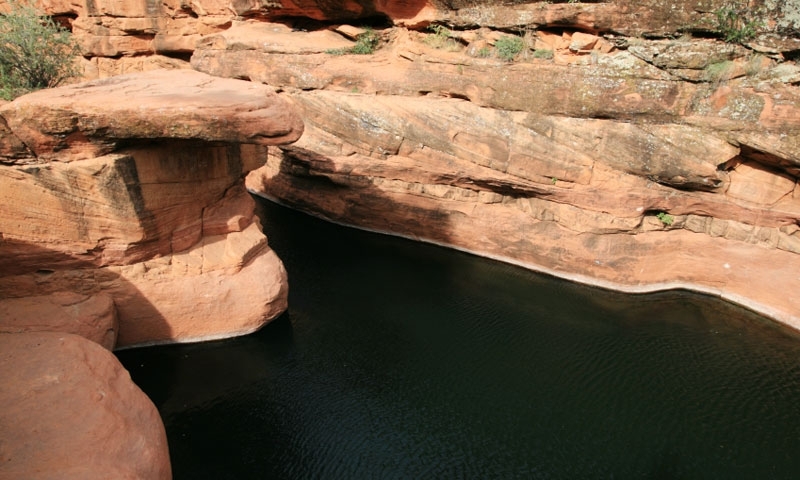 Wet Beaver Wilderness