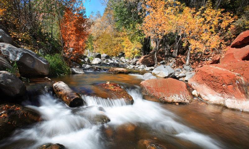 Fall Colors in Oak Creek Canyon in Sedona Arizona