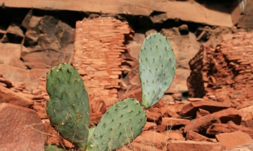 Honanki Ruins