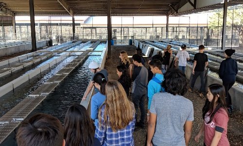 Page Springs Fish Hatchery