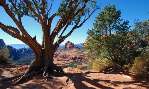 Sedona Vortexes